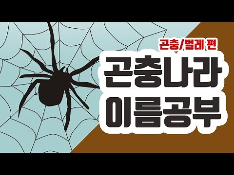 [곤충나라] 동물나라｜곤충｜벌레｜어린이곤충공부｜곤충공부｜곤충이름