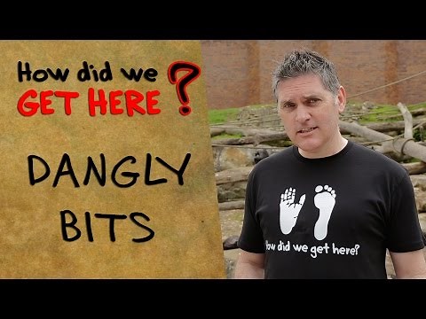 How Did We Get Here? - Dangly Bits