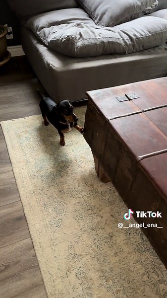 I wanna know why he is so dosrespectful. 😭🤣 | miranda wilking