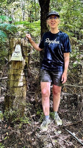 Slowing down to notice and reflect 🌱🌳🥾