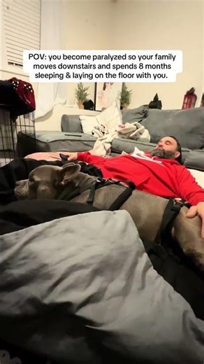 The sad reality of IVDD