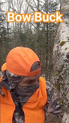 Archery Whitetail Buck