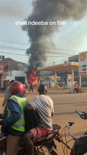 salixpro11 (@salixpro11)’s videos with original sound - salixpro11