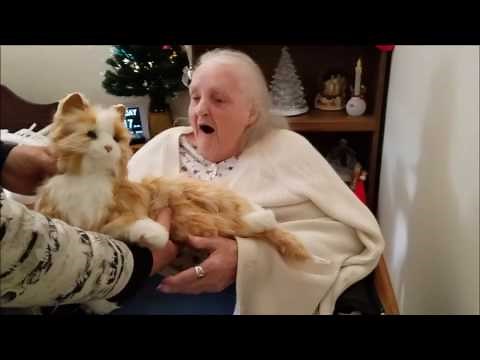 Hasbro Joy for All CompanionPets