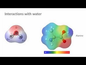 Biochemistry 3.0: Water and solubility
