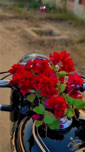 romantic mood with bullet 🔥 Royal Enfield 🔥 modification 🔥
