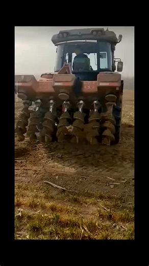 Daily routine and activities of happy farm cows | Затишок