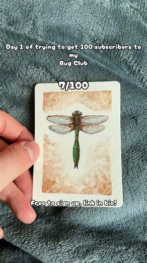 Day 1 of trying to get subscribers for my bug club