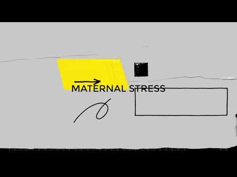 Expert Series | ECD Foundations | Session 5: Threats to Early Development