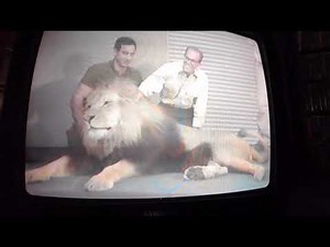 Opening to Aladdin 1993 VHS (Version #2)