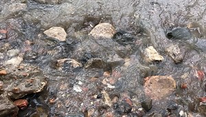 If you’ve never been, this is what the foreshore looks like (in some places). #mudlarking | London Mudlark: Lara Maiklem Mudlarking