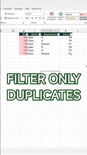 How to Filter by Duplicates in Excel