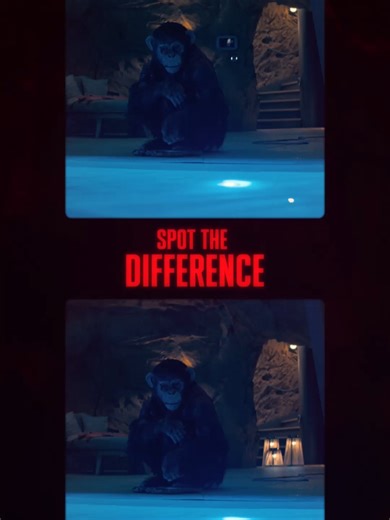 Think you can spot the difference? Better take a closer look. #PrimateMovie is in cinemas January 22.