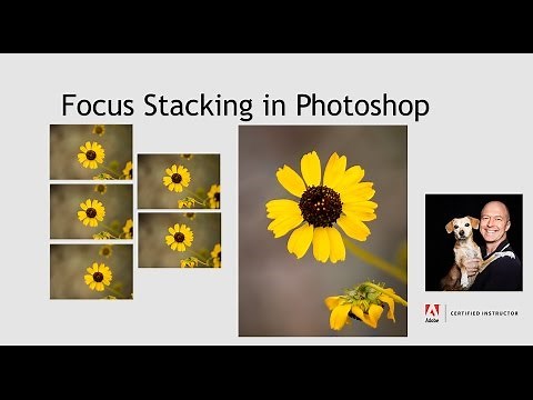 Using Photoshop to automatically align and blend multiple images with differing areas of focus.