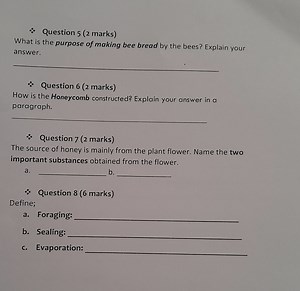 Question 5What is the purpose of making bee bread by the bees?... | Filo