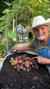 7.3K views · 237 reactions | Harvesting and Storing Potatoes Part 2 #garden #gardening #gardentips #homestead #homesteading #homesteadlife #farm #farming #farmlife #foodie #farmtotable #vegetables #potatoes | PawPaw Ridge Homestead | Facebook