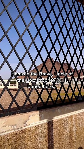 It was Hamzah, who protected the Prophet in Makkah during the delicate moments with all his might. Hamzah accepted Islam in the fifth year of the Proclamation. May God be pleased with him, and bless him. Hamzah had killed Utbah, the father of Hinda, in the battle of Badr. In the battle of Uhud, she slaked her thirst for vengeance which had given her no rest since the battle of Badr. In the battle of Uhud the Muslims were defeated. After their rout, Hinda and the other harpies she had brought wit