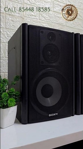 Sony Bookshelf Speaker: Pure Vintage Sound! 💎