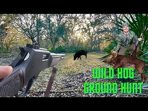 Henry .357 Magnum Hog Hunt