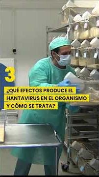 How DANGEROUS is HANTAVIRUS really? | Questions and answers about the CRUISE SHIP OUTBREAK