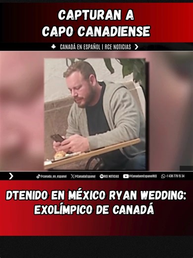 🚨 Exolímpico canadiense Ryan Wedding, acusado de narcotráfico, es capturado en México #NoticiasCanada #CanadaEnEspañol #NoticiasEnEspañol #HispanosEnCanada #ComunidadLatinaCanada #LatinosEnCanada #VivirEnCanada #CanadaHoy #PoliticaCanada #EconomiaCanada #EmpleoEnCanada #MigracionCanada #TrabajarEnCanada #SociedadCanada #JusticiaEnCanada #PoliciaCanada #DerechosHumanosCanada #CulturaLatinaCanada #EventosEnCanada #VidaEnCanada