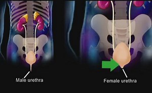 Sorry, we have encountered a problem. - Alexander Street, a ProQuest Company