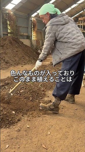 植え替え用土の準備（基本用土編）#シクラメン #シクラメンの育て方 #増田園芸 #用土