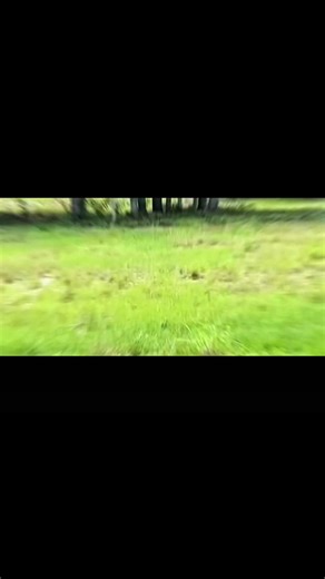 Master Distance Estimation with Thumb Technique