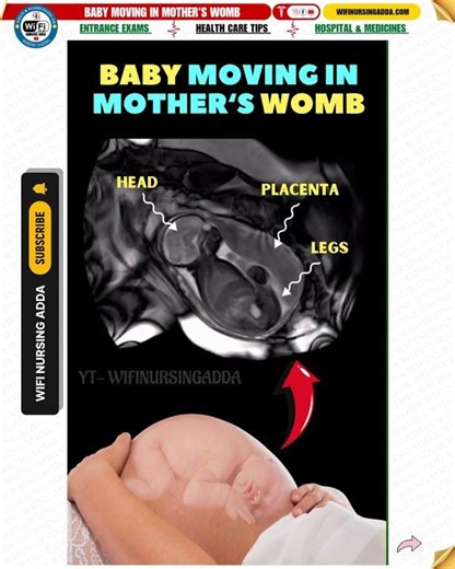 Baby Movement in Mother's Womb #pregnant #newborn #babycare #facts #amazing #science #anatomy #mbbs