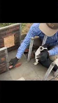 🏡 Tiny House Build Part 1 | DIY Small Dream Home Construction 🌿🔨