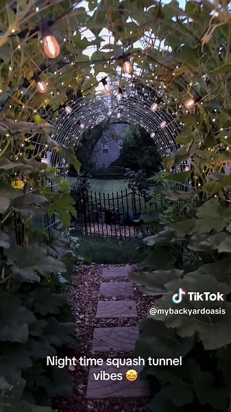Magical Nighttime Squash Tunnel Vibes in the Garden