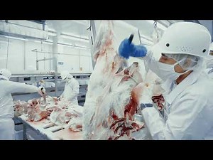 Nicaraguan beef - Sustainability