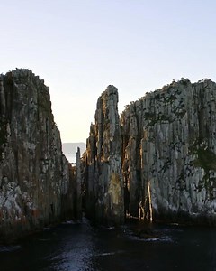 Tasman National Park with its stunning cliffs is really something else! The park is about 90 mins from Hobart, and near the Port Arthur area. Definitely one to add to the bucket list 🌲 Video via Discover Tasmania | Senator Jacqui Lambie