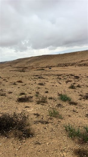 חשבונות מוצעים