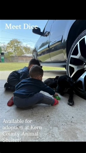 1.6K views · 50 reactions | #StreetsOfBakersfield - Dice "Meet Dice!...