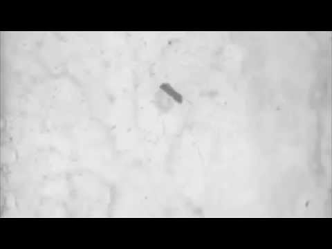 Free video overlay film damage effect with more flicker