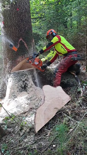 Exploring Big Timber with Valmet 830.3 Performance