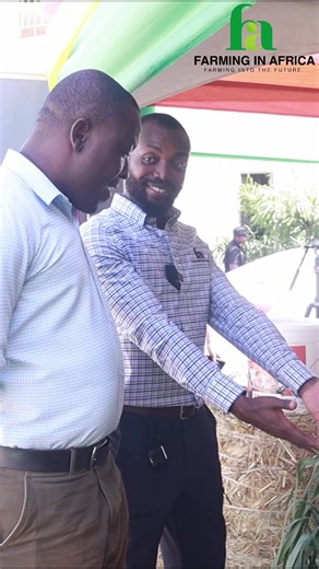 244K views · 3.1K reactions | Planting, Harvesting, and Feeding Your Livestock on a Farm #farminginafrica #agriculture #sustainablefarming #organicagriculture #farmfeed #grazinganimals #hayprocessing #pelletfeed #environmentallyfriendlyfarming | Farming In Africa | Facebook