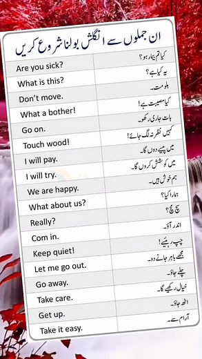 Fun Ways to Learn English Vocabulary with Learning Express Toys