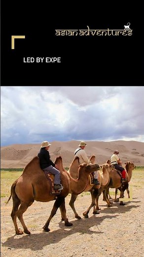 Mongolia Snow Leopard Expedition | Asian Adventures