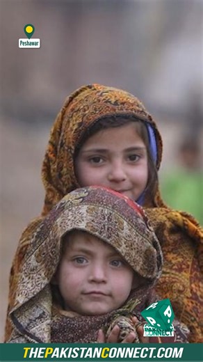 Pakistan is facing a deepening education crisis as new data shows 26.2 million children remain out of school, with over half being girls. The 2023–2024 report highlights that approximately 13.4 million girls are deprived of education, especially in rural and underdeveloped areas. #PakistanConnect | Pakistan Connect