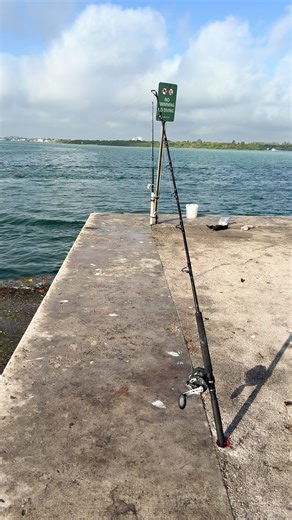 Essential Tips for Using a Cast Net While Fishing