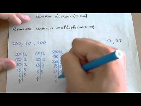 Máximo común divisor (m.c.d.) y mínimo común múltiplo (m.c.m.)