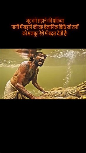 🇲‌🇷‌.🇦‌🇱‌🇮‌ on Instagram: "Jute Retting The Water-Rotting Science That Turns Stems into Strong Fiber! #reels #trendingreels #travelphotography #explorepage #reelitfeelit"