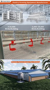 19K views · 271 reactions |  In poultry farming, water is life. From day-old chicks to 90 days, POUL TECH’s Advanced Drinking System ensures reliability & healthier birds.  ✅ Designed for hot & humid climates ✅ Reduce risks, increase profitability  Contact us today: www.poultech.com #PoultryFarming #SmartFarming #Agribusiness #POULTECH | POUL TECH Poultry Equipment | Facebook