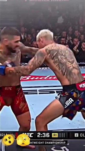 the monsters in arena#sports #fighting #mma