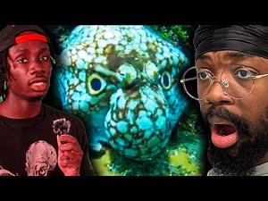 Octopus Facts Are CRAZIER Than We Thought… (Casual Geographic Reaction)