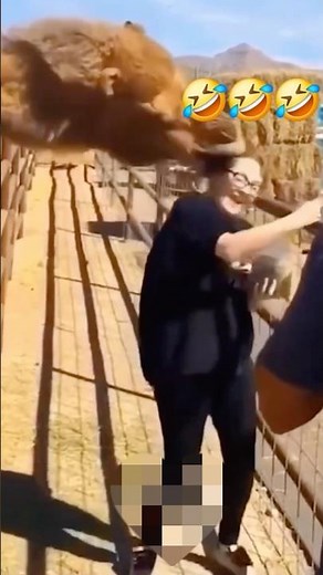 Epic girl fails you HAVE to see! 😂🙈