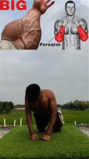 Build A Powerful Upper Body At Home 🔥💪 | No Equipment Workout #workoutcomplete #fitness