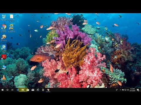 Solved - "imslib not found" Error in Adobe Acrobat DC